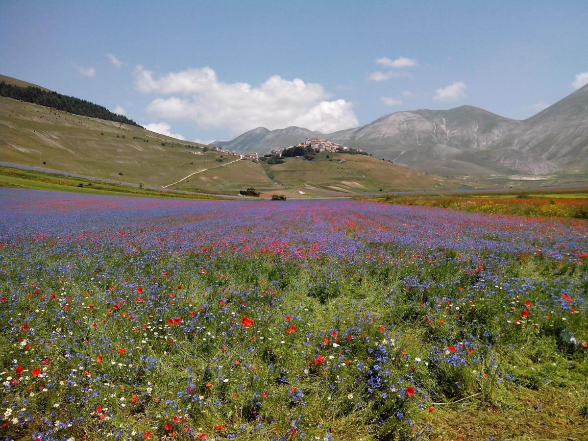 B&B Nonna Rosa Norcia Bagian luar foto
