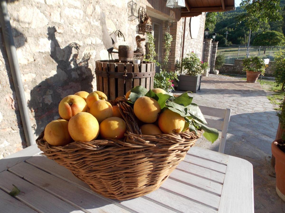 B&B Nonna Rosa Norcia Bagian luar foto