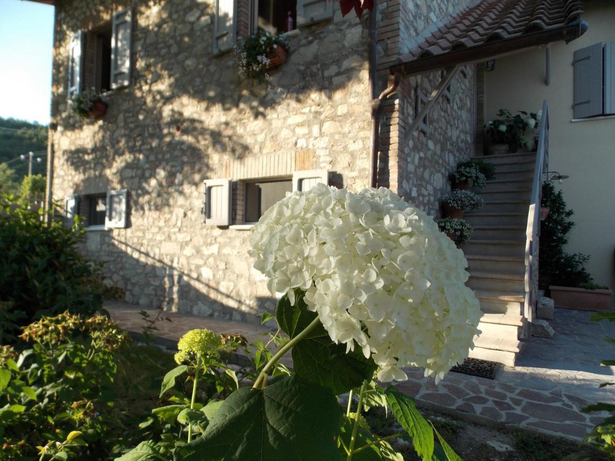 B&B Nonna Rosa Norcia Bagian luar foto